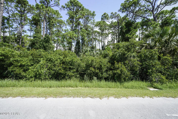 Property Photo: Tbd Cape San Blas FL 32456