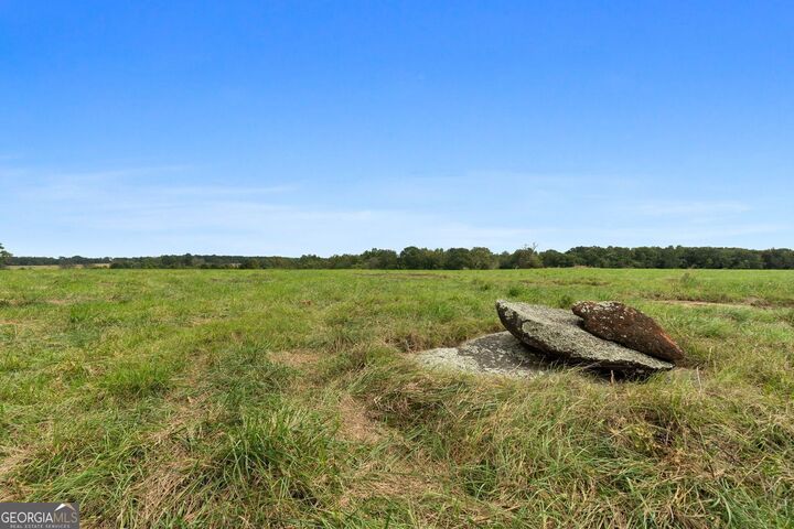Property Photo:  61 Acres 61 Acres Barnesville Highway  GA 30285 