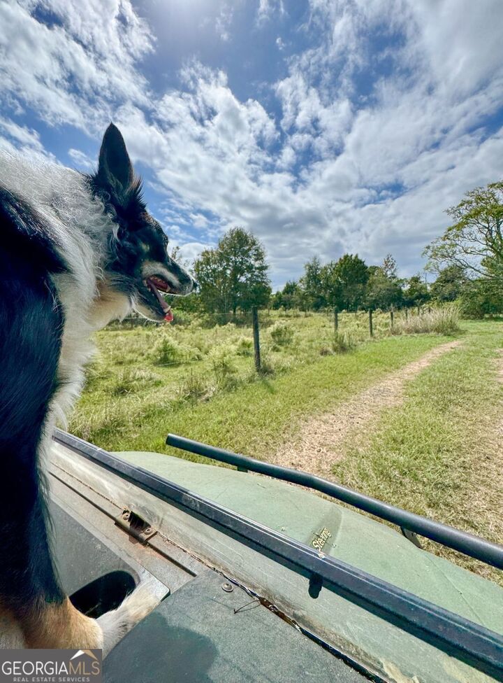 Property Photo:  61 Acres Barnesville Highway  GA 30285 