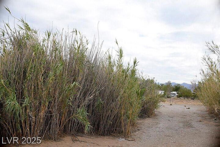 Property Photo: 75 West Obsidian Avenue NV 89019