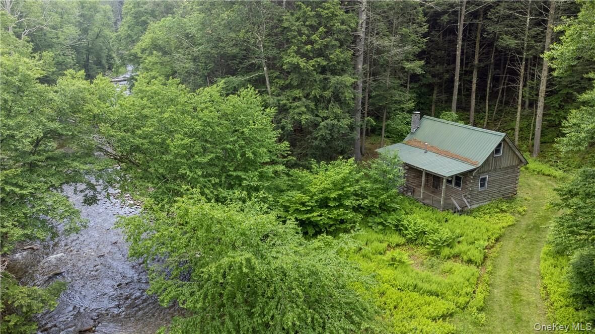 Property Photo: 56 Saw Mill Road NY 12725