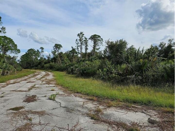 Property Photo: Lot 1 Hinshaw Avenue FL 34288