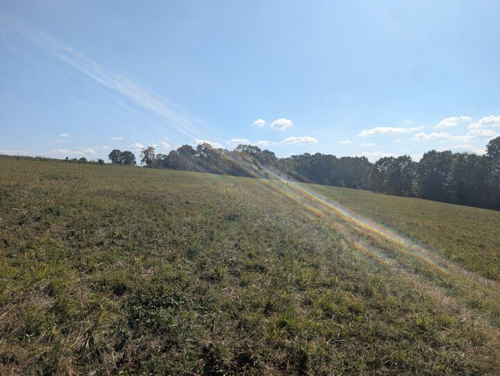 Property Photo:  Bunker Road  AR 72601 