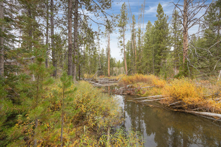 Property Photo: 773 Smiley Creek Rd ID 83340