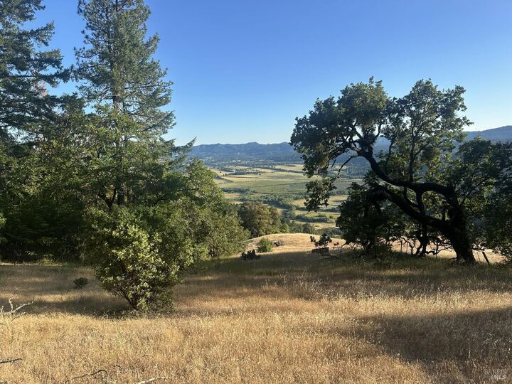 Property Photo:  25996 String Creek Road  CA 95490 