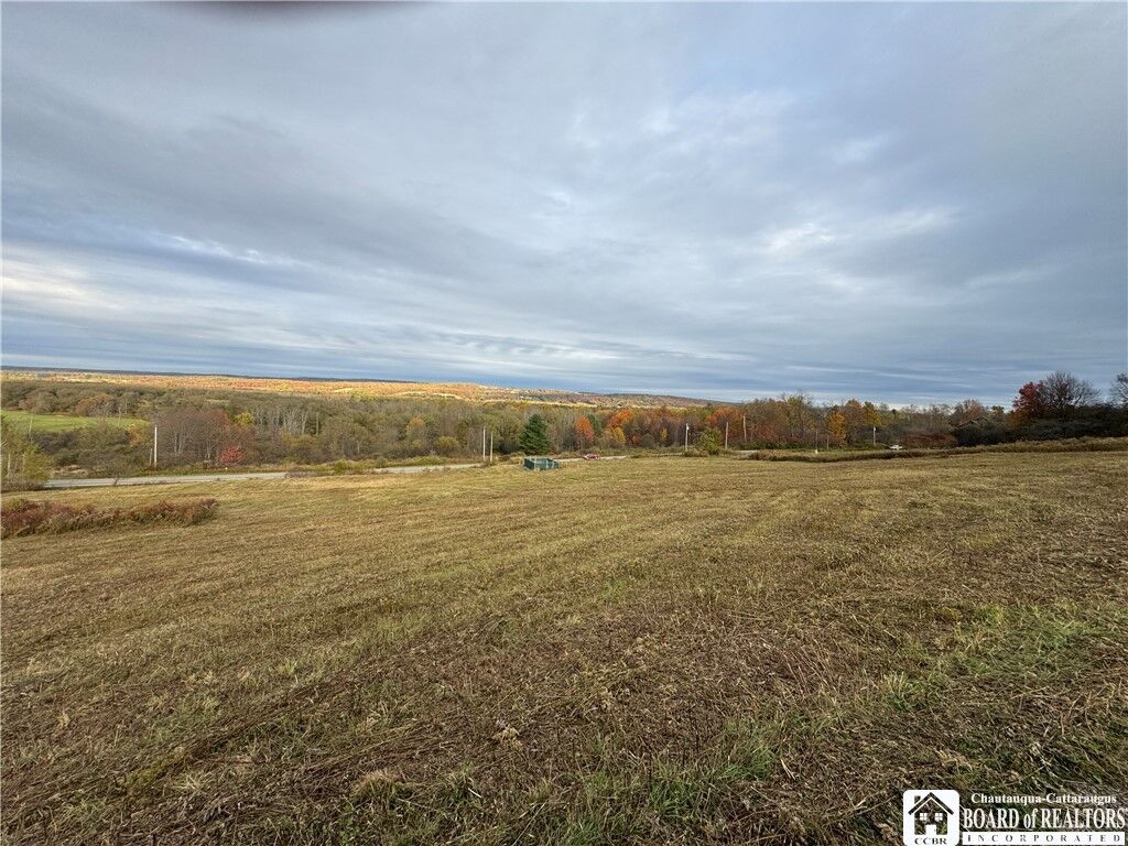 Property Photo:  V/L Kimballstand-Stockton  NY 14782 