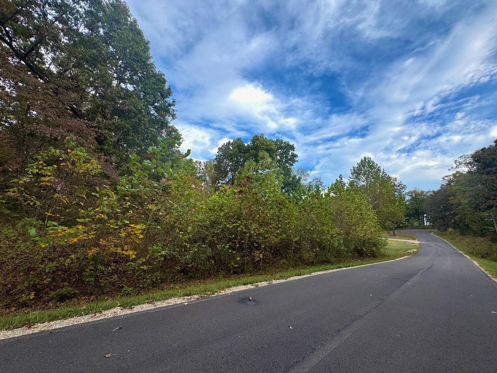 Property Photo: Lot 29 Goodwin Cove Lot 29, Goodwin Cove, Secluded Estates AR 72513