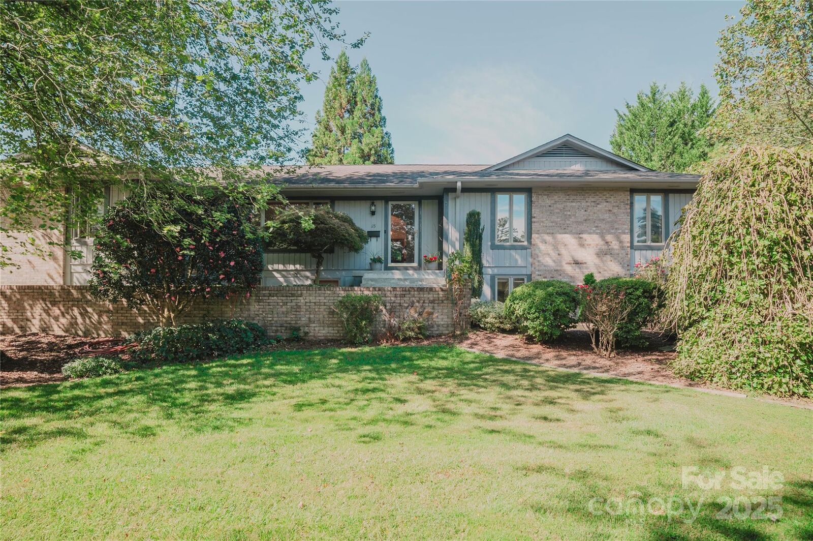 Property Photo: 115 Hawkins Creek Road NC 28791