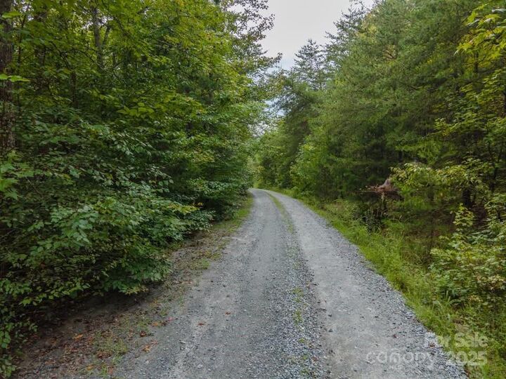 Property Photo: 145 Stroud Mountain Trail 85 NC 28139