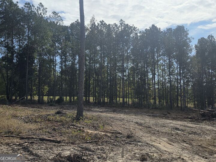 Property Photo:  0 Bastonville Road  GA 30810