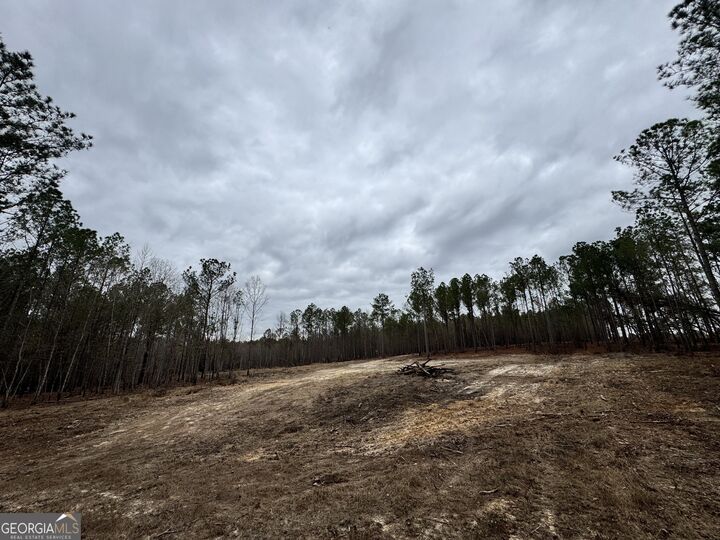 Property Photo: 0 Bastonville Road GA 30810