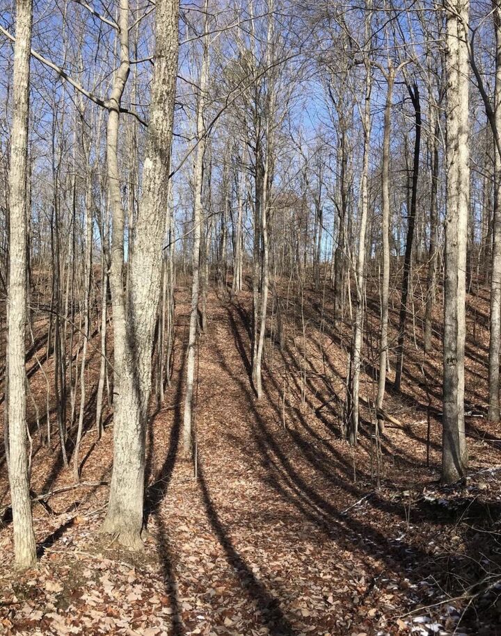 Property Photo:  0 Chestnut Oak Drive  TN 37327 