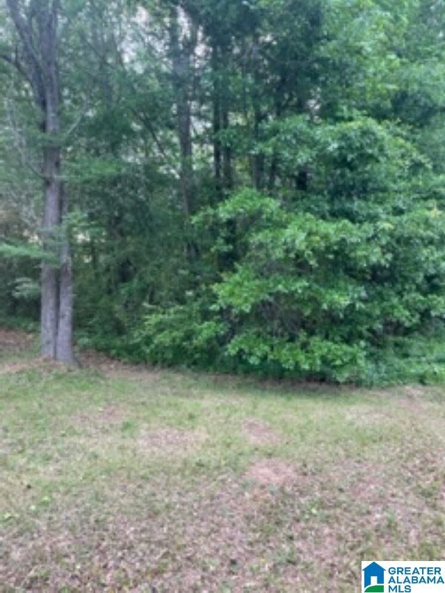 Property Photo: 2006 Peek Drive 4 AL 36203