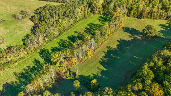 Property Photo: 276 Long Branch Road KY 40403