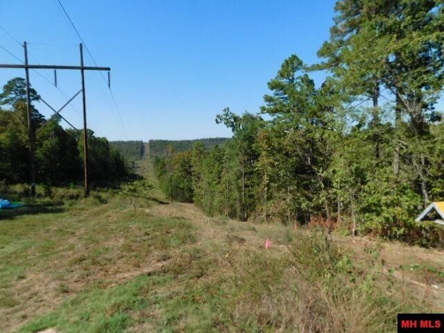 Property Photo:  009-02955-001 Owens Drive  AR 72653 