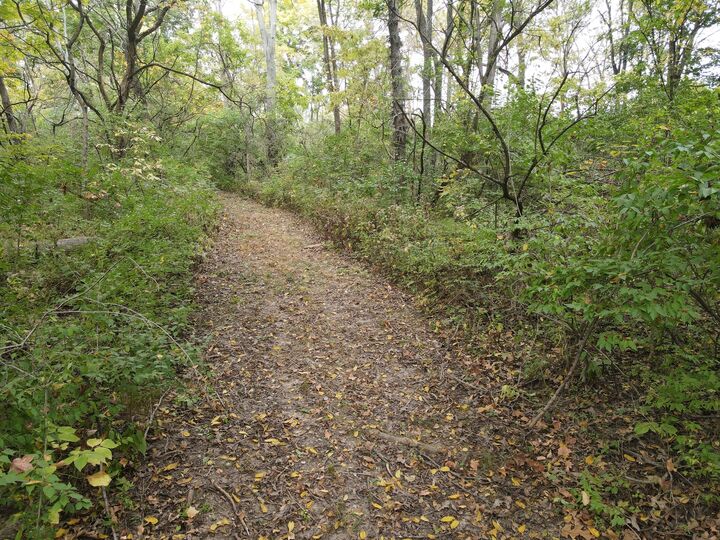 Property Photo:  5180 W Cantrell Street  IL 62522