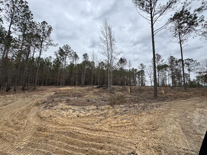 Property Photo:  3479 Bastonville Road  GA 30810 