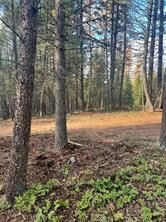 Property Photo: 761 Springhill Road MT 59920