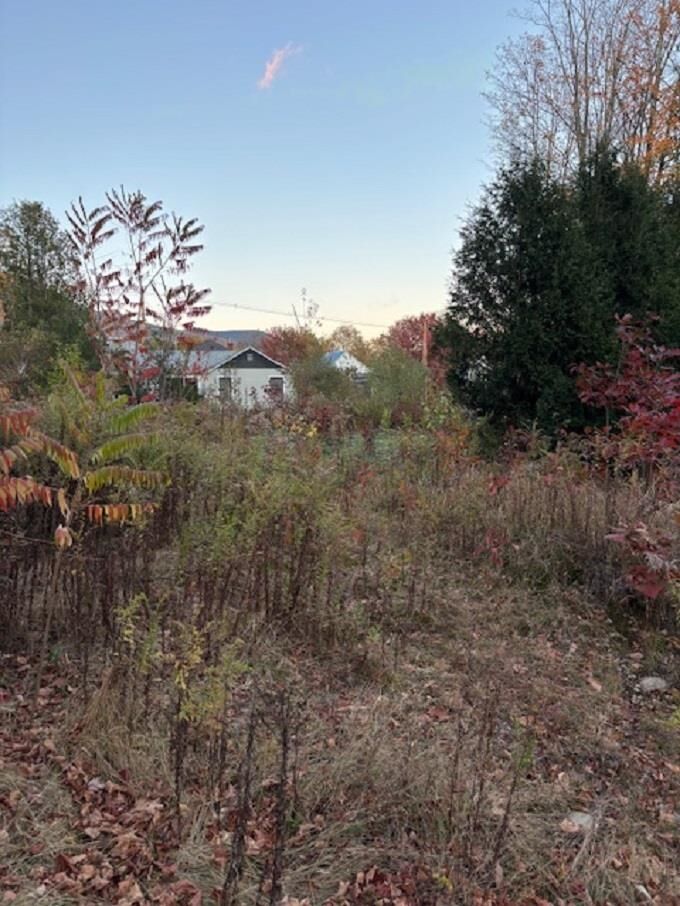 Property Photo: 0 Pleasant Street NH 03251