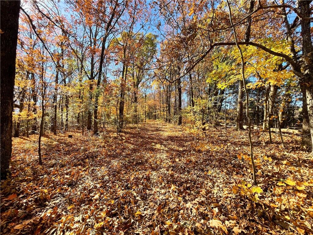 Property Photo:  21710 Woods Road  AR 72959 