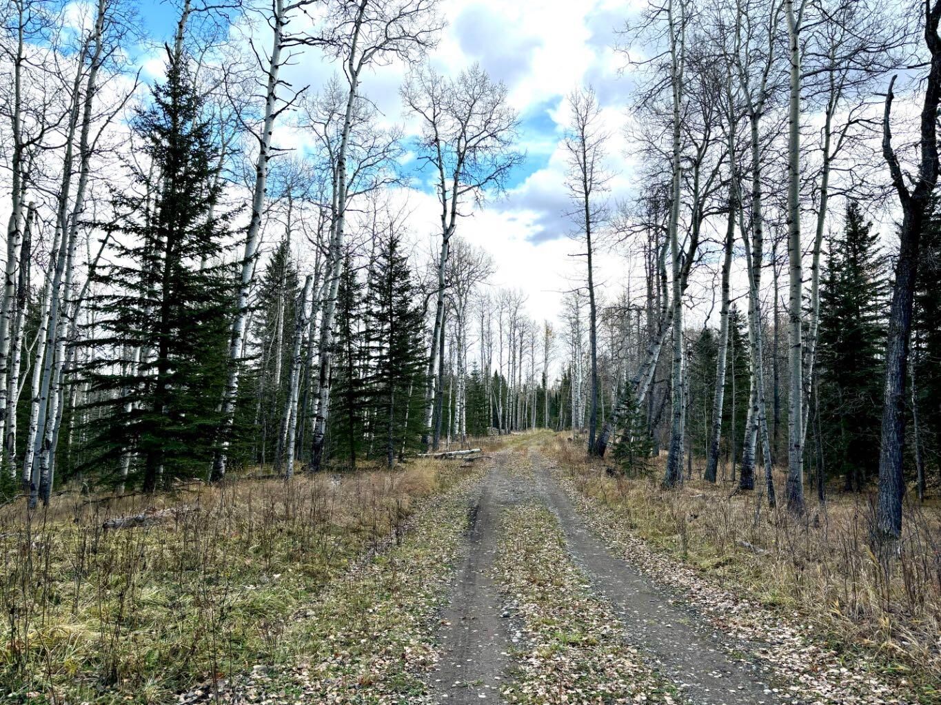 Property Photo: Range Road 72 32521 AB T0M 1X0