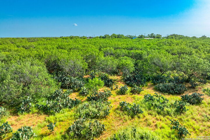 Property Photo: 3911 County Road 1000 TX 78061