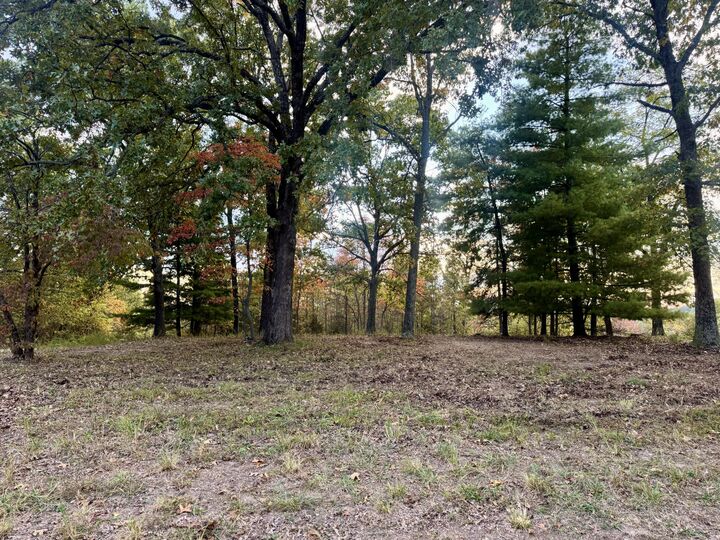 Property Photo:  000 State Highway U  MO 65704 