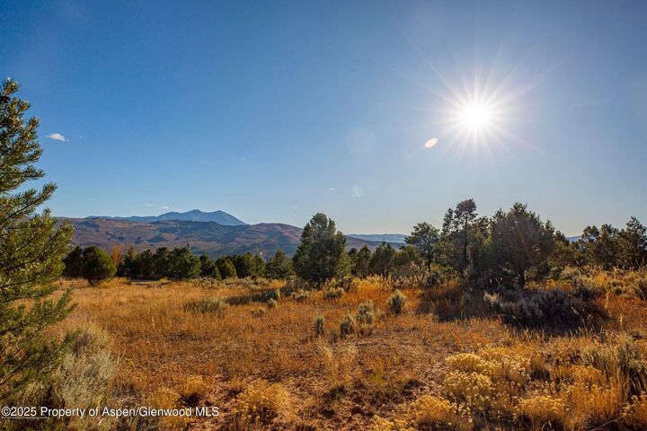 Property Photo:  539 Sunrise Lane Lane  CO 81623 