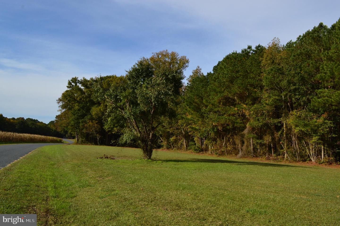 Property Photo: 0 Yacht Club Road MD 21822
