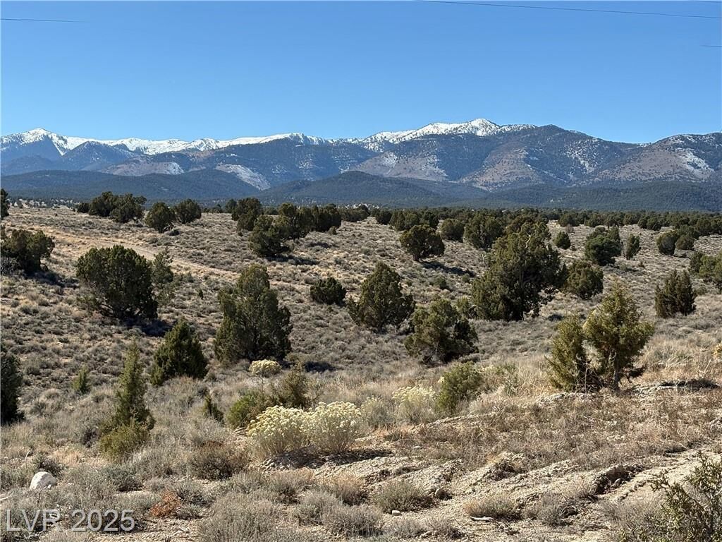 Property Photo:  1494 South 20th West Street  NV 89301 