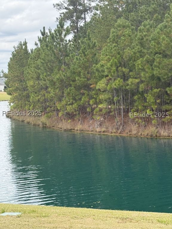 Property Photo:  161 Sand Dollar Drive  SC 29927 