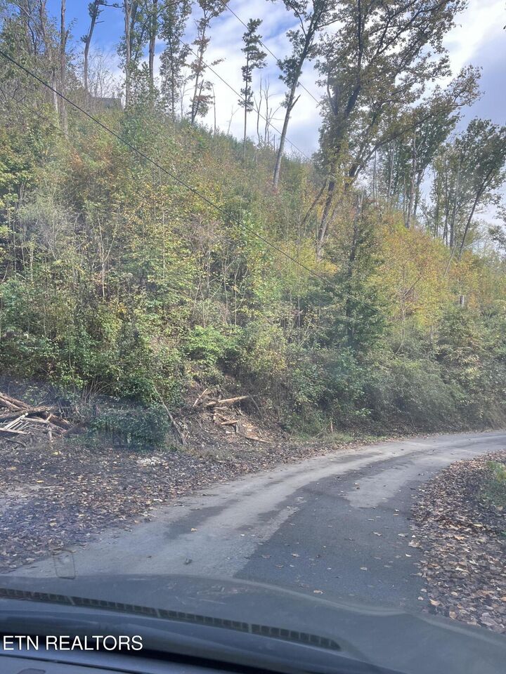 Property Photo:  Lot 527 Deep Hollow Rd  TN 37738 