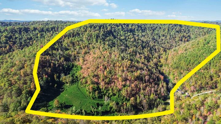 Property Photo:  184 Ancient Springs Drive  KY 40953 