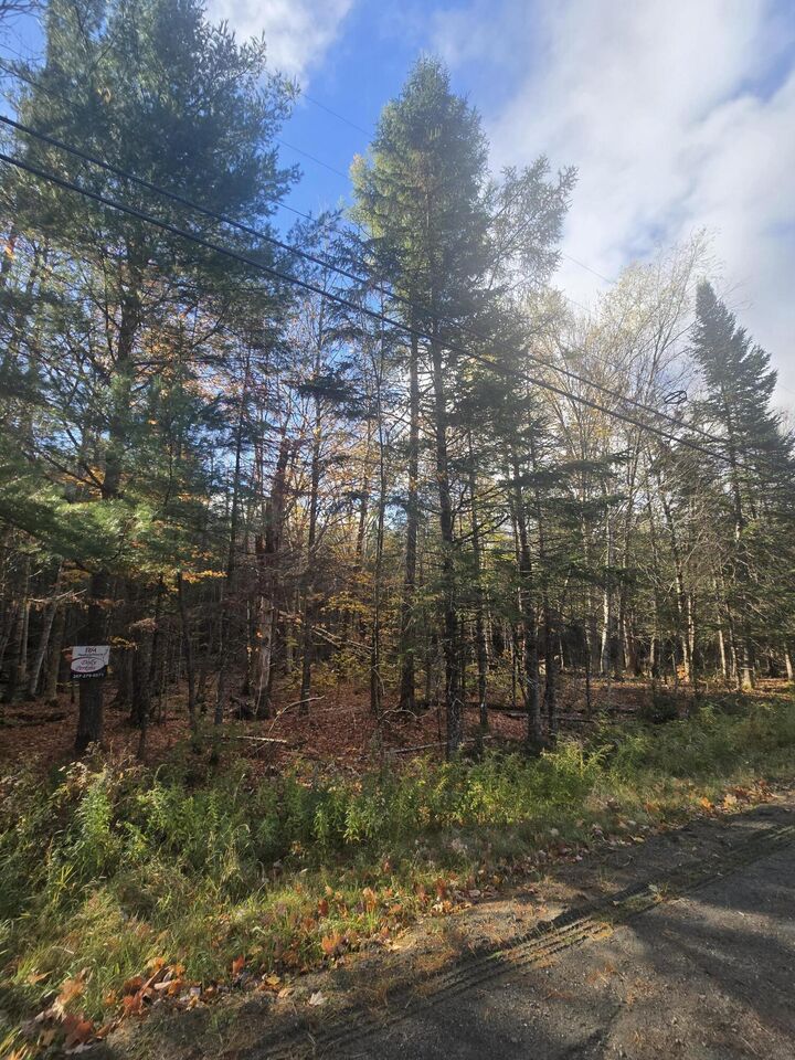 Property Photo: L49,50,53 Back Road ME 04406