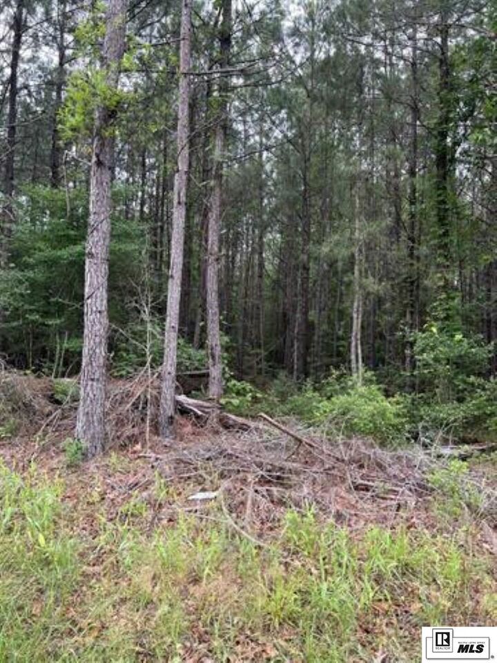 Property Photo:  Lot 3 Berry Road  LA 71435 
