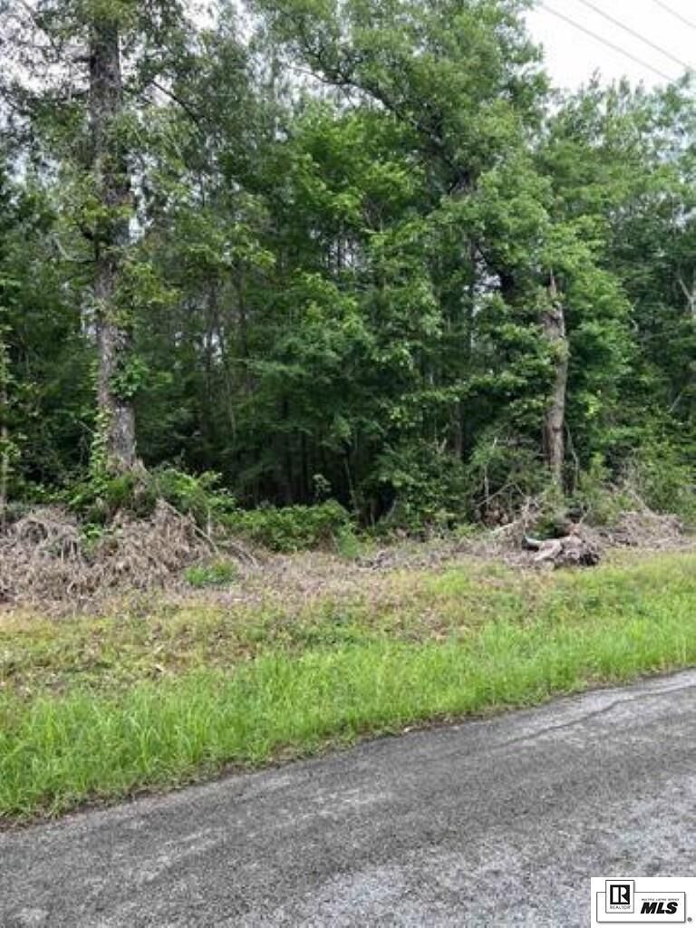 Property Photo: Lot 4 Berry Road LA 71435