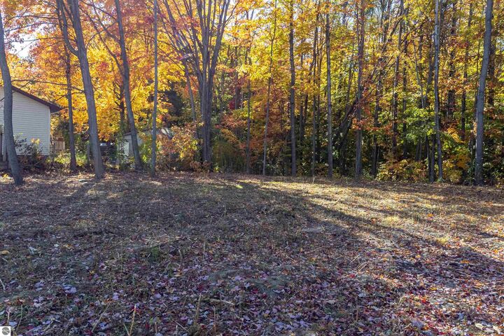 Property Photo:  223 Alexander Street  MI 49601 