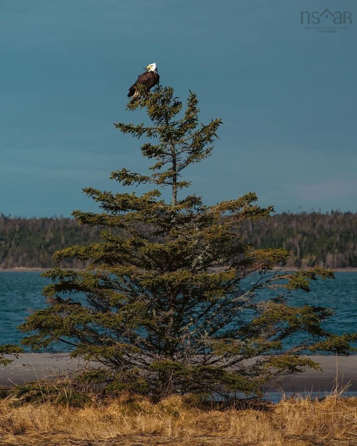 Photo de la propriété:  Lot M2 East Petpeswick Road  NS B0J 2L0 