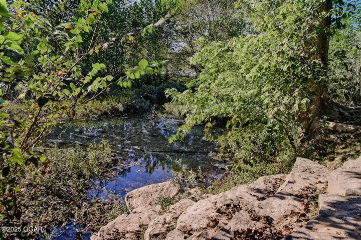 Property Photo:  715 Easy Street  MO 64854 