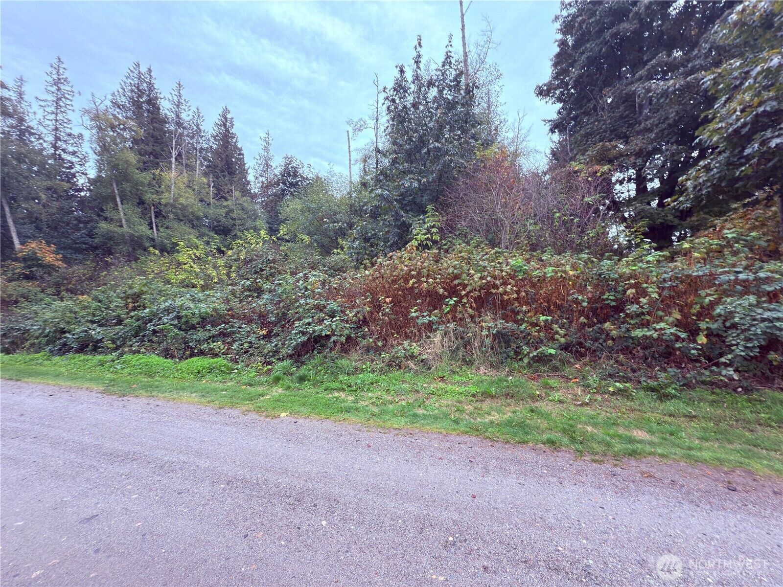 Property Photo:  73 A  Saratoga Drive  WA 98206 