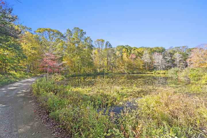 Property Photo:  497 Winthrop Road  CT 06417 