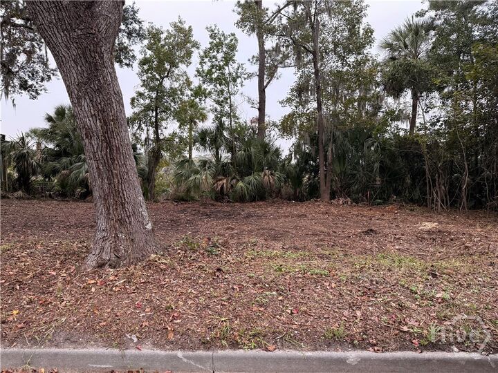 Property Photo:  209 Battery Way  GA 31410 