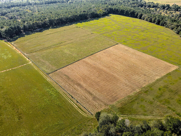 Property Photo:  988 Flowing Well Road  SC 29164 