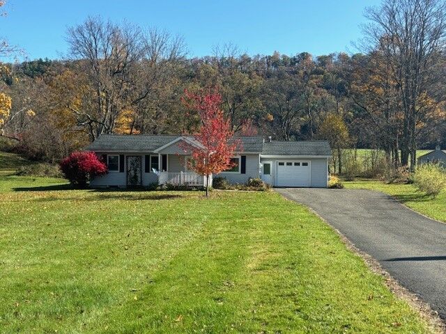 Property Photo:  217 Owego Street  NY 13743 