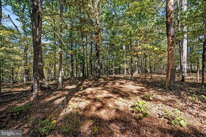 Property Photo:  Lot 12B Graystone Lane  VA 22603 