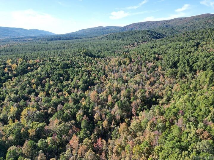 Unk Polk Road 90  Mena AR 71953 photo