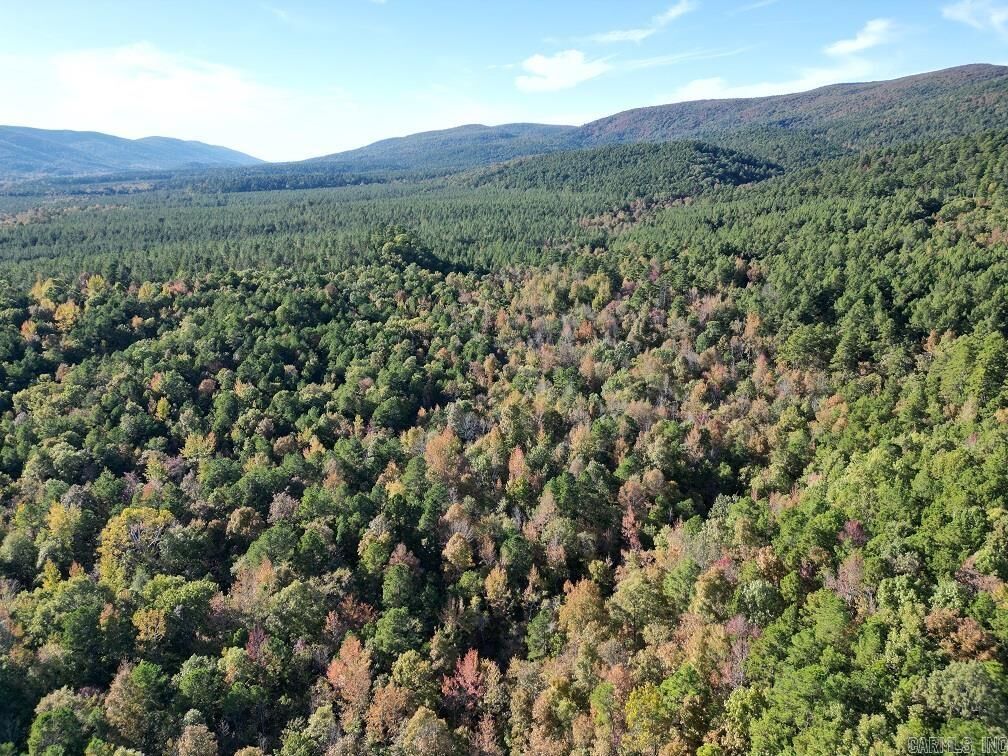 Property Photo: Unk Polk Road 90 AR 71953