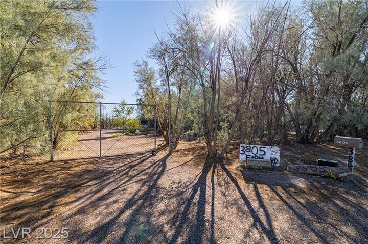 Property Photo:  3805 West Amargosa Farm Road  NV 89020 