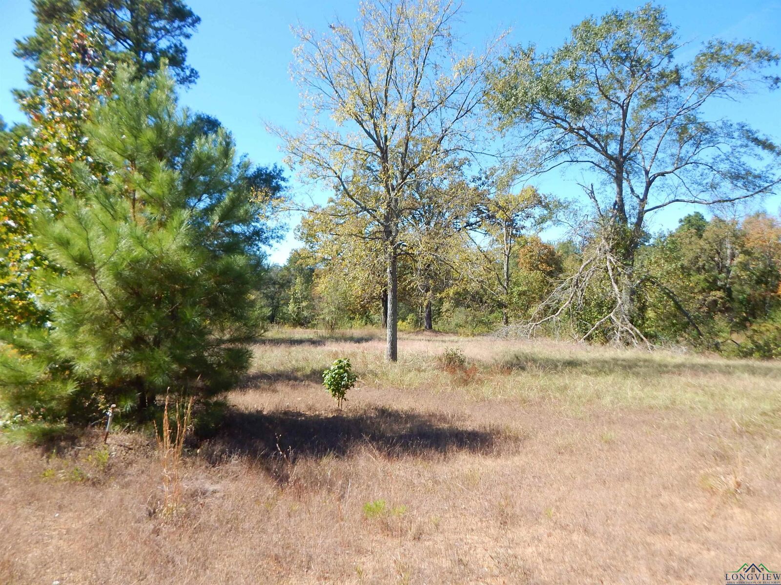 Property Photo: Tbd .5 Acre Hwy 155 TX 75644