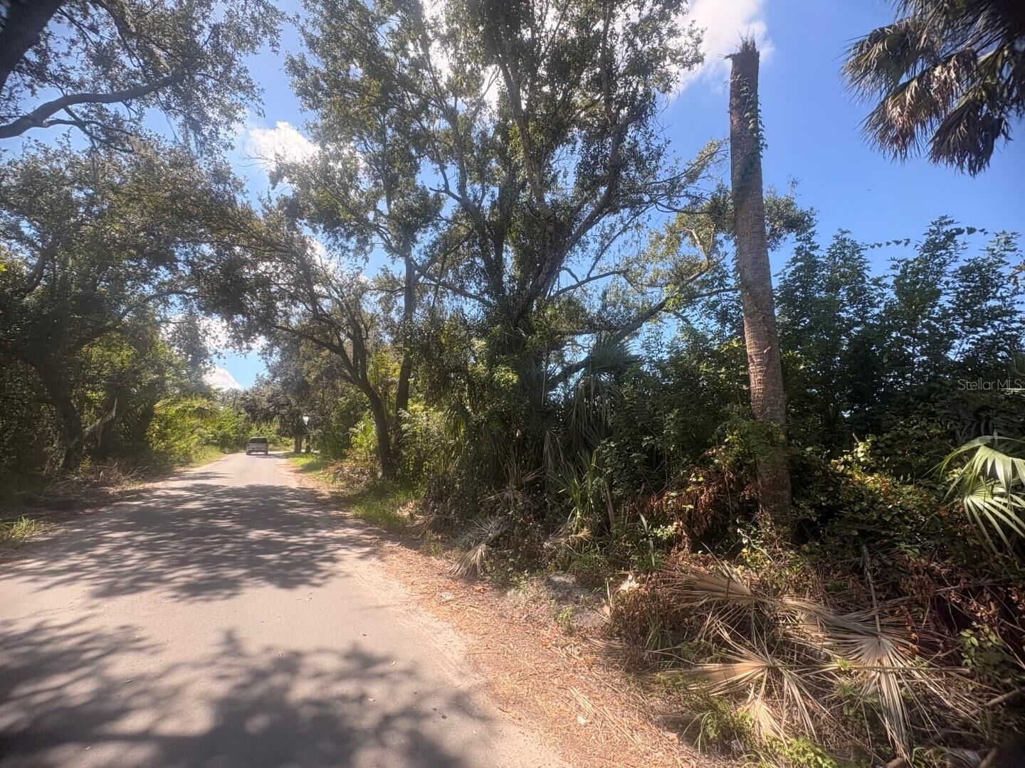 Property Photo:  2601 Goldwyn Drive  FL 33570